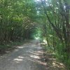 25 KM BÜKK DÉLI KAPUJA_HÓR VÖLGY_HOSSZÚ VÖLGY_BÜKKZSÉRC_SUBA LYUK LÁTOGATÓKÖZPONT