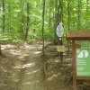 7 KM SZILVÁSVÁRAD_MILLENIUMI TANÖSVÉNY_KALAPAT KILÁTÓ_SÁRGA KERESZT TURISTAÚTVONAL_SZILVÁSVÁRAD